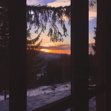 Mischa Вилла Grashtitsa