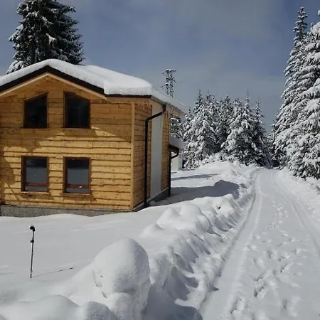 Mischa Villa Grashtitsa