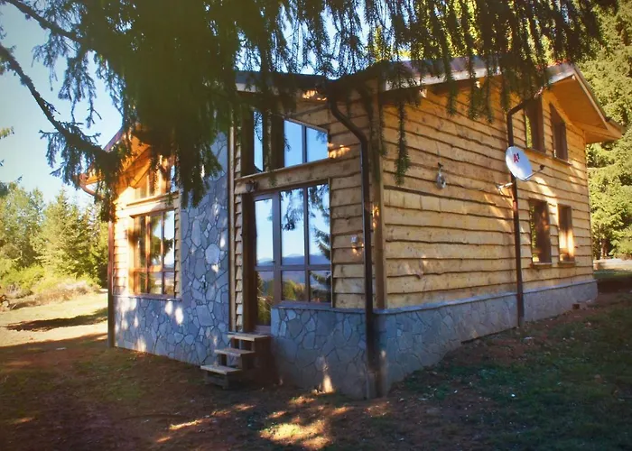 Mischa 别墅 Grashtitsa